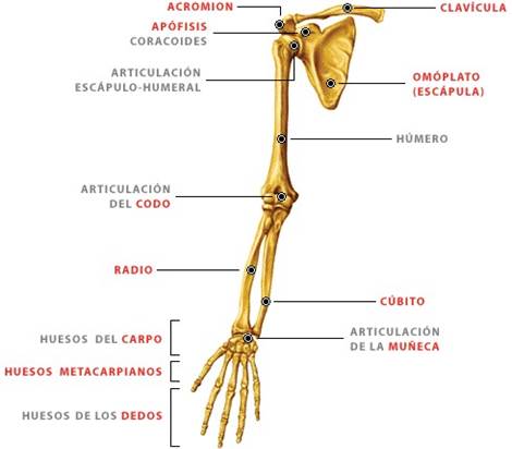 Diagrama

Descripción generada automáticamente