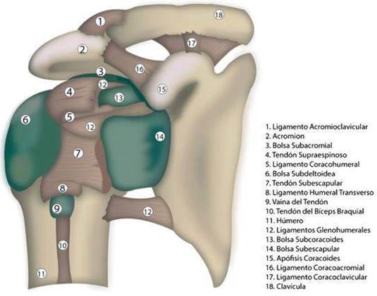 Imagen que contiene interior, tabla

Descripción generada automáticamente