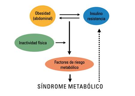 Diagrama

Descripción generada automáticamente